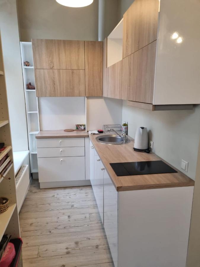 Igo Apartment Uzupis VNO Eksteriør billede
